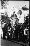 Decorated elephants, Mysore, 1985