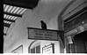 Crow watching parcel room, Londa, 1986