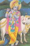 Lord Krishna