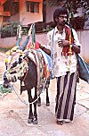 Beggar with his entertaining bull