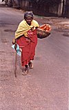 Helpless grandmas join the rag-picker group