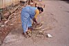 She loads the garbage in a bamboo basket