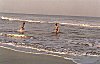 The bathers in Arabian sea