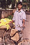 Flower sellers call on at customers' door steps.