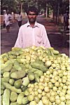 He is a fruits and vegetable seller.