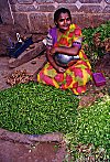 Indian Girl Selling Pepper, Ginger & Spices