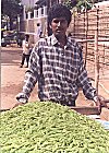Farm green peas are very economical.