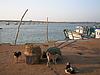 Bridge Across Sharavati River