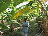 Organic Farmer, Melkote