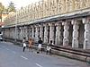 Cricket at the Temple Complex