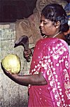 Strong woman: sickle is pre-requisite to chop off a tender coconut.