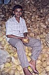 In a shop coconuts are in heaps.