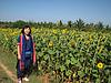 At Roadside Sunflower Farm