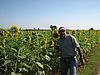 Vikas in Sunflower Field