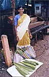 Green Ridge Gourd Seller