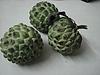 Custard Apples