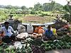 Vegetable Sellers in front of Nimishamba Temple