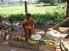 Flower Vendor