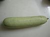 Bottle Gourd