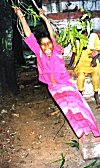 A Child Swinging on the Mango Tree