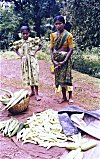 Roadside Vegetable Vendor