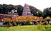 The temple pendals (awnings) are decorated with floral motifs.