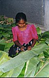 A young girl cuts the leaves to required sizes.