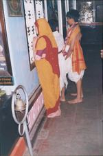 Widows of India
