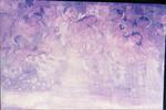 Frescos of Ajanta
