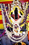 An Idol of Ganesh Overwhelmingly Decoarated With Flowers on His Birthday