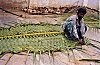 Man weaves coconut leaves into a carpet