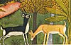 Deer from a Mogul miniature painting