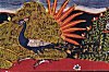 Peacock in a North Indian Painting