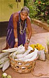 Tribal Woman Selling Snake  Gourd (Paduval vegetable)