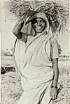 Tribal Woman Carrying Hay