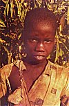 Siddi Boy in Torn Shirt