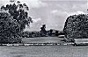 Botanical Gardens, Ooty, 1979