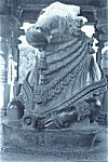 Nandi Bull, Sculpture from a Belur Temple