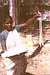 Flower Vendor