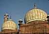 The domes of Jama Masjid, Delhi
