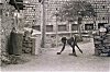 Handicapped Boy walks on all his four limbs. The town of Melukote.