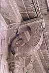 Carved Peacock on a Temple Bracket