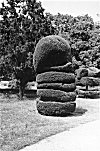 Plant Scupluture, Lal Bagh Botanical Gardens