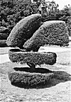 Hedge-trimmed Sculpture, Lal Bagh