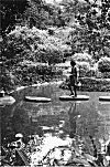 Gardener, Lal Bagh Botanical Gardens