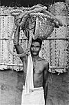 Farmer on way to Work with Rope & Basket