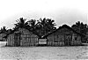 Thatched Huts