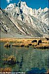 Scenic view of the mighty Himalayas,  Ladakh