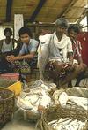 Fishermen at the Market, Cochin