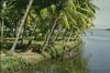 Boat with kids on the Backwaters